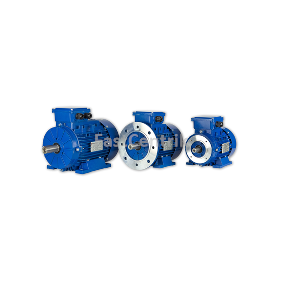 ELEKTROMOTOR MS IE1 IE2 IE3 MTM ELECTRIC MOTORS.png